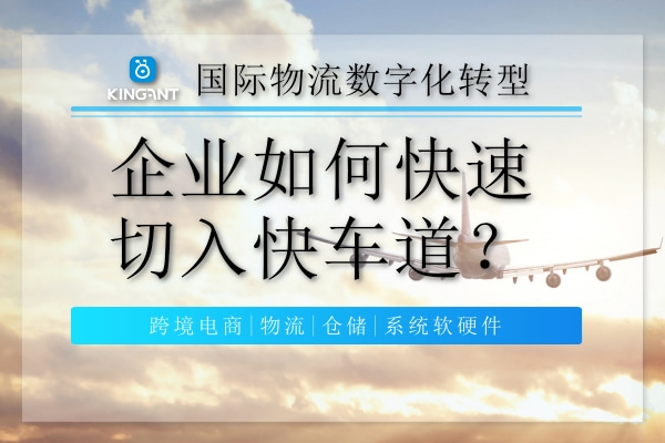 國際物流數字化轉型，企業如何快速切入快車道